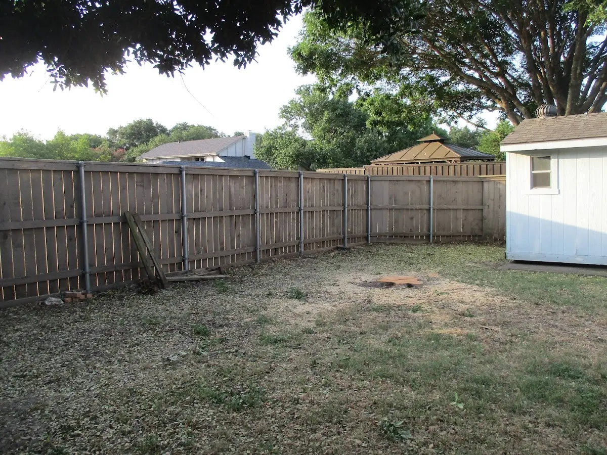 Cleared yard after professional tree removal in Crawford